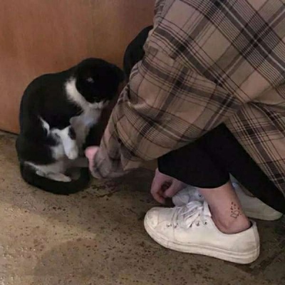 暴风影音16隐私保护版vv9.2.38