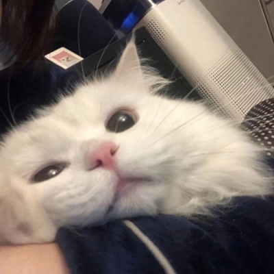 乐视视频官方认证版官网入口