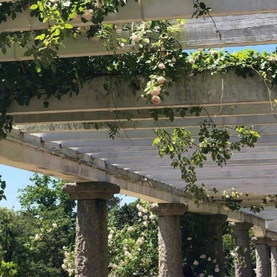 讯飞星火免安装绿色版APP下载