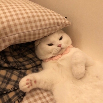 欧宝APP最新版APP免费版怎么使用截图9